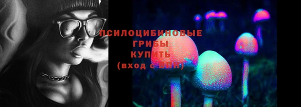 шишки Фурманов