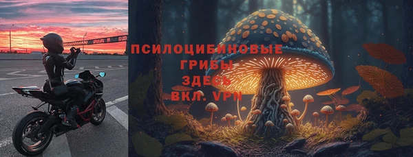 скорость Краснослободск