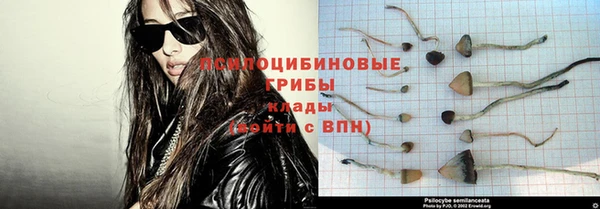 скорость Краснослободск