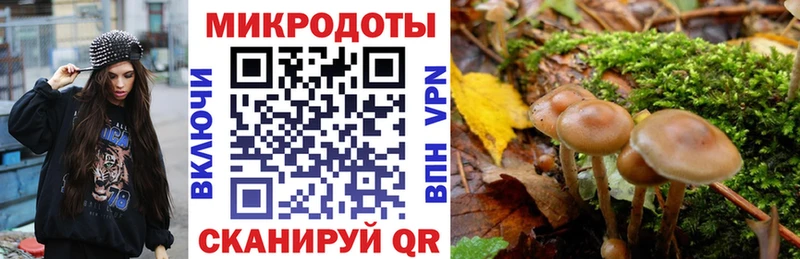 Купить закладки  Корсаков  Псилоцибиновые грибы ЛСД 